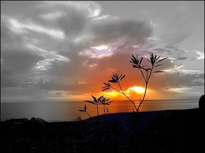 Il a encore écrit :