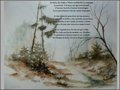 Qui a écrit le recueil de poèmes ''Les Contemplations'' ?