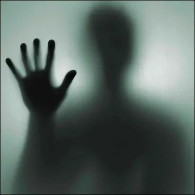 Combien a-t-il fait de vidéos paranormales ?