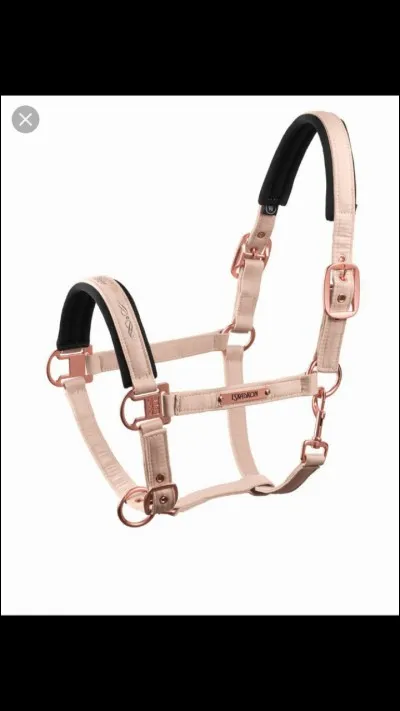 Quel est cet objet ?