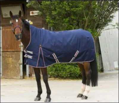 Quel est cet objet ?