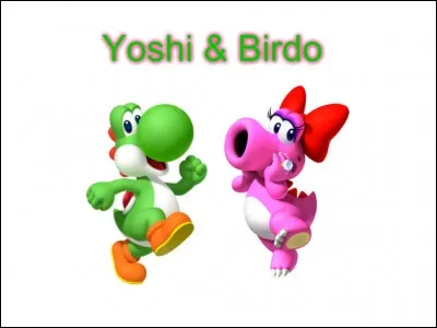 Qui est l'enfant de Yoshi et Birdo ? (Ce n'est qu'une théorie)