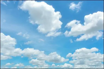 Le bon prénom est :