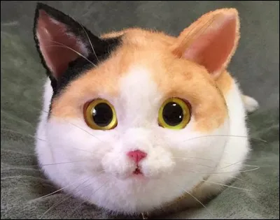 Barbie a un chien, un cheval et un chat :