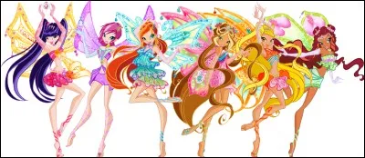 Combien y a-t-il de saisons ?