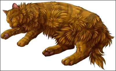 Et une petite question facile pour la dernière, combien de petits, Poil de Fougère a-t-il perdus jusqu'à "Soleil Levant" ?