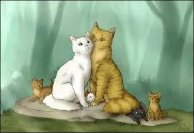 Après les parents, vient la fratrie ! Parmi les choix suivants, lequel porte les noms de ses frères et surs ?