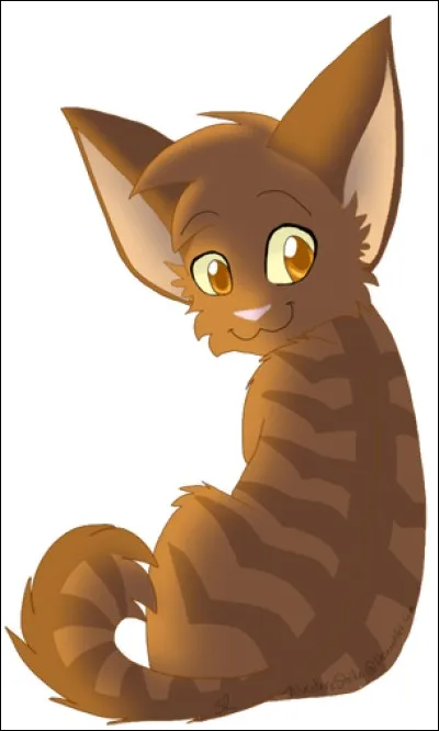 Comme chaque guerrier, Poil de Fougère a eu droit à un mentor lorsqu'il était apprenti. Qui était-ce ?