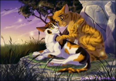 Sortons du cercle familial, et entrons dans celui de l'amour. Poil de Fougère et sa compagne sont deux chats très appréciés, mais aussi un couple très aimé. Sauriez-vous me dire qui est sa bien-aimée ?