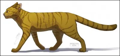 Parmi les choix suivants, lequel énonce vraiment le caractère de Poil de Fougère ?