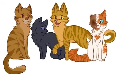 Quel est son nom anglais ?