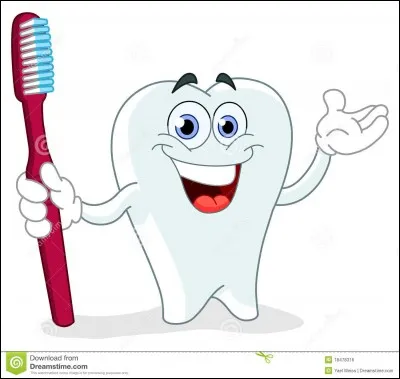 Quand la brosse à dents est-elle arrivée en France ?