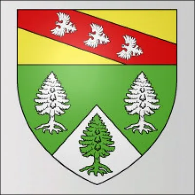 Quand on croise une personne qui ne s'est pas lavée depuis plusieurs jours on dit qu'elle...