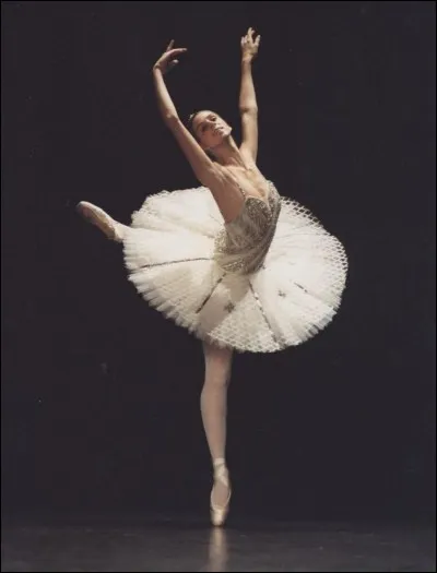 Quel est ce style de danse ?
