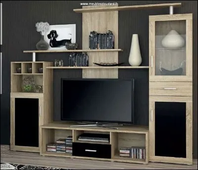 Quel est ton programme préféré à la télévision ?