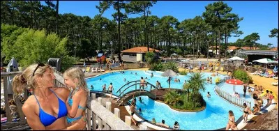 Tu passes un mois dans un camping. Quelle est ton activité favorite ?