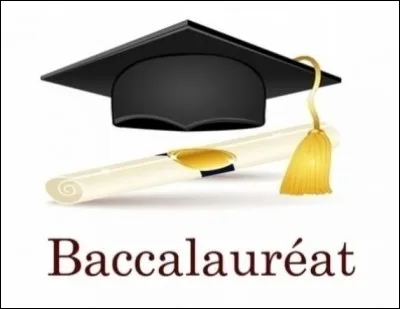 As-tu eu ton bac ou un autre dipl&ocirc;me ?
