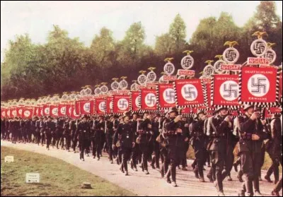 Comment s'appelle l'expression faisant référence aux assassinats perpétrés par les nazis en Allemagne ?