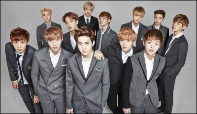 Que préfères-tu ? (question bonus)