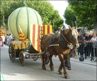 Quel melon n'a pas la reconnaissance d'un de ces labels ?