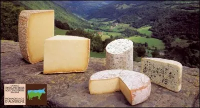 Laquelle de ces AOP n'est pas un fromage d'Auvergne ?