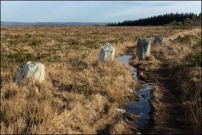 Au pied du mont Saint Michel de Brasparts, un ensemble mégalithique témoigne du caractère sacré du site. Quel est son nom ?
