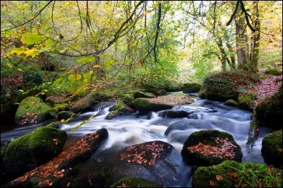 Au milieu du chaos de rochers de Huelgoat coule une rivière...