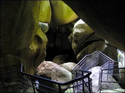 Sous cette forêt épaisse de hêtres, chênes et châtaigniers, de la mousse, des fougères, et des blocs de rochers, menhir-champignon, dolmen, grotte d'Artus et...
