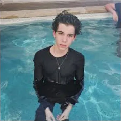 Si je te dis " panda " tu penses à :