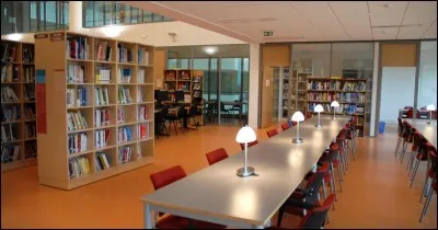 Les adeptes de la lecture auront l'embarras du choix pour emprunter un livre parmi les centaines d'ouvrages disponibles dans le CDI. Que signifie cet acronyme dans un &eacute;tablissement scolaire ?