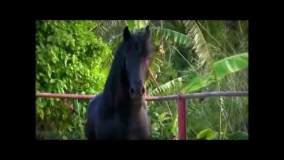 Elle arrive à destination, mais qu'arrive-t-il à Whisper ?