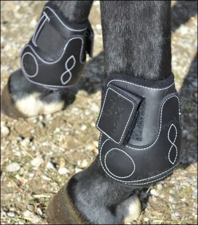 Le concours est arrivé. Que donne Michelle à Mika et pourquoi ?