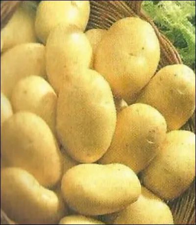 Sous quel nom est plus connu "Marcel Augustin Ferréol" ?