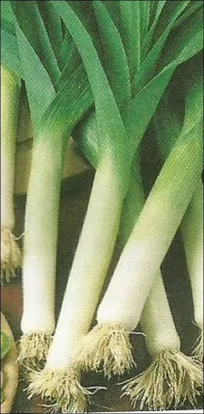 Qui écrivait sous le pseudonyme de "Mary Westmacott" ?