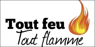 Qui est l'actrice principale du film 'Tout feu, tout flamme ?