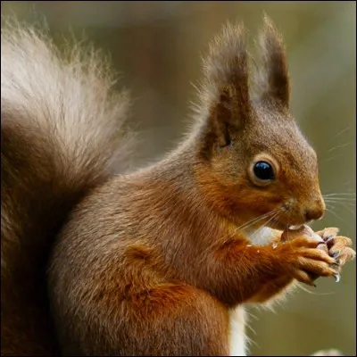 Te crois-tu supérieur aux autres ?