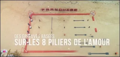 L'aventure dure huit semaines et chaque semaine est basée sur un pilier de l'amour. Lequel de ces piliers de l'amour n'est pas évoqué dans l'émission ?