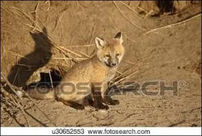 Le ... désigne un refuge pour des bêtes sauvages.