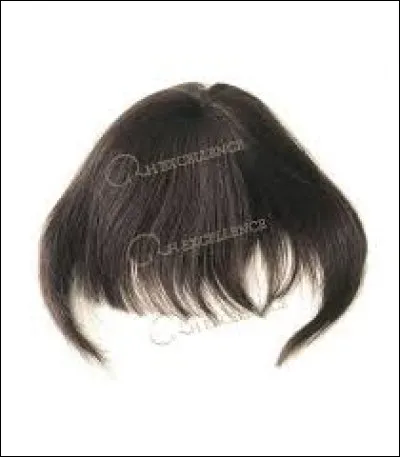 Le ... est synonyme de perruque.