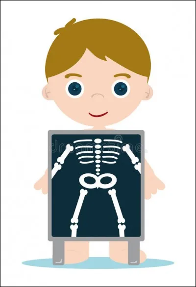 Où se trouve la dentine dans le corps humain ?