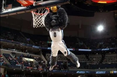 Il a commencé sa carrière à Vancouver, où la place d'un ours brun s'explique davantage, ceci avant le déplacement de cette franchise de la NBA. Le club s'est beaucoup amélioré, il va conserver son emploi : de qui s'agit-il ?