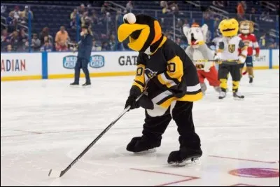 Il est l'un des ambassadeurs sportifs de la ville américaine de l'acier. Qu'on le retrouve sur patins ou sur pieds, avec ses grands yeux écarquillés, c'est l'un des plus populaires de la Ligue Nationale de hockey.
Quel est le nom de ce populaire pingouin ?