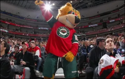 Ce personnage nordique, mélange d'ours et de chat, provient des sombres et profondes forêts du Minnesota, où il patinait sur les étangs glacés. Maintenant, il motive les troupes du Wild de la NHL : quel est son nom ?