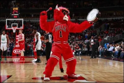 Active depuis les années 1960, cette mascotte de la ville américaine des vents, a été la première à incarner un tel rôle dans la NBA. Elle est tellement populaire qu'elle a été invitée à Londres et Dubai. Quel est le nom de cette mascotte qui a dû suivre une cure d'amaigrissement en 2004 ?