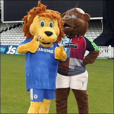 Un roi des animaux bleu, couleur du club à domicile, est la mascotte officielle de cette puissante équipe anglaise. Ce fauve est multidisciplinaire : il est accompagnateur de fans, n'oublie pas de visiter les hôpitaux et les refuges, se retrouve sur Facebook, Twitter.
Tous vous reconnaîtrez son nom.