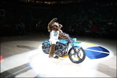 Elle anime les parties de ballon panier de l'équipe depuis 1994 et a été élue à 5 reprises mascotte de l'année de la NBA. Elle a plus de 4 000 slam dunks à son actif. Quel est son nom ?