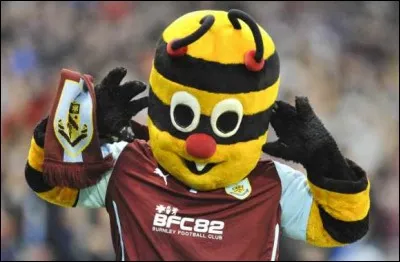 Cette charmante abeille, a conservé intact le sourire affiché, depuis qu'elle a plaqué un nuvite. Peut-on aussi parler de conduite anti-sportive, quand elle offre des lunettes à un juge de ligne ? Quel est le nom de cette mascotte dynamique, jouant en Premier League ?