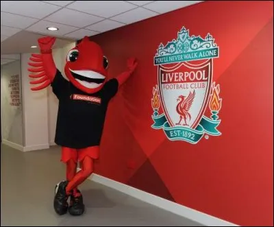 Il est sensé représenter un très jeune et super excité Liver bird, soit le symbole mythique de la ville de Liverpool, mi-chemin entre l'aigle et le cormoran. On s'accorde sur un fait, c'est le plus grand fan du LFC. Qui est cet oiseau ?