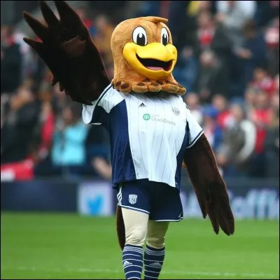 Cette mascotte a revêtu le maillot aux couleurs historiques du West Bromwich Albion, soit le blanc et le bleu marine. Voici un indice pour la réponse : le logo du club a comme emblème une grive musicienne. Alors, quel est le nom de cette mascotte ?