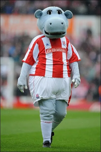Comme son nom le suggère, il s'agit d'un hippopotame qui fait de l'animation au Britannia Stadium, en Première. Bien impliqué dans le jeu, il a même été mis hors du terrain, pendant la saison 2000, pour avoir dérangé un juge de ligne.
Vous le retrouvez, dans les trois plus bas ?
